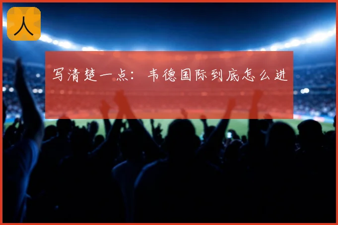 写清楚一点:韦德国际到底怎么进